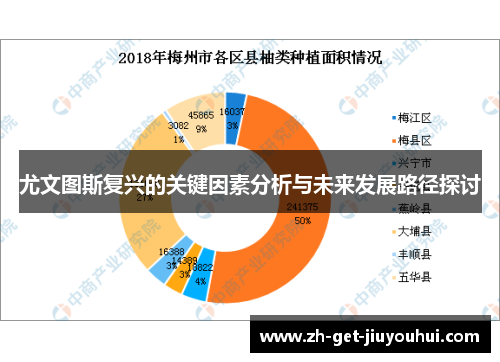 尤文图斯复兴的关键因素分析与未来发展路径探讨 尤文图斯复兴的关键因素分析与未来发展路径探讨
