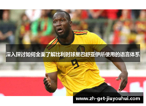 深入探讨如何全面了解比利时球星巴舒亚伊所使用的语言体系