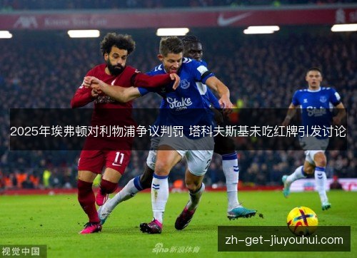 2025年埃弗顿对利物浦争议判罚 塔科夫斯基未吃红牌引发讨论